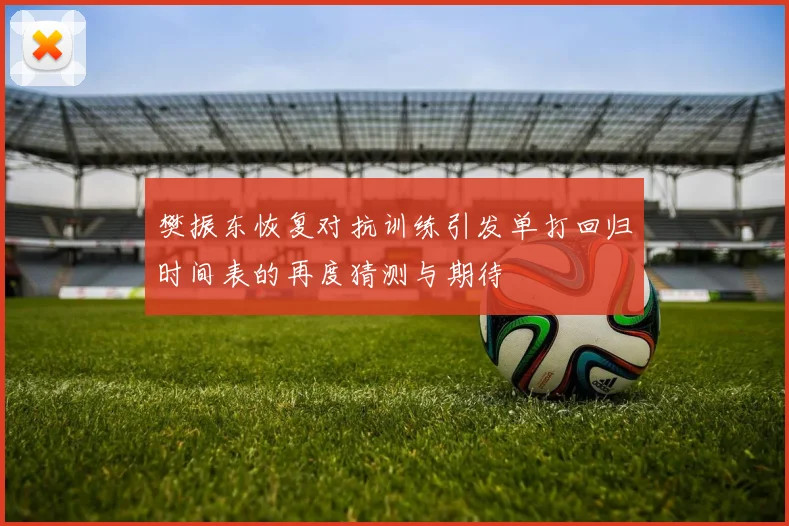 樊振东恢复对抗训练引发单打回归时间表的再度猜测与期待